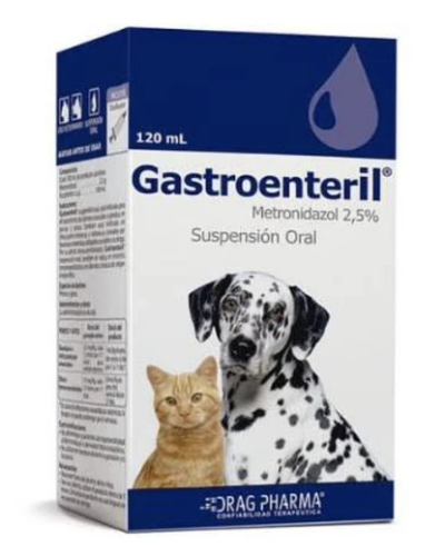 gastroenteril