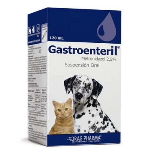 gastroenteril